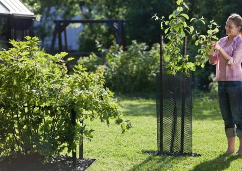 Сетка для защиты деревьев от зайцев. Ограждение и обмотка