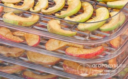 Сколько сушить яблоки в сушилке. Выбор режима