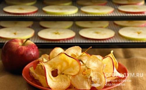 Сколько сушить яблоки в сушилке. Выбор режима