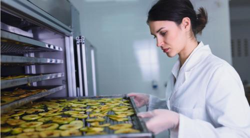 Как правильно сушить яблоки в урожайный год. Сушка яблок на воздухе в домашних условиях 10