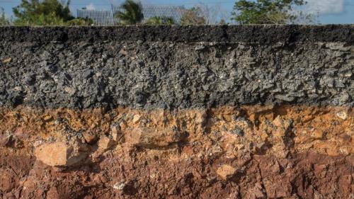 Подкормка молодых саженцев осенью. Органические удобрения