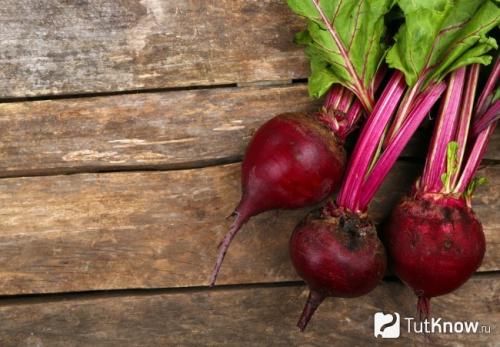 Польза и вред свеклы. Полезные свойства свеклы 03 Польза и вред свеклы. Полезные свойства свеклы 03