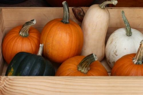Как хранить тыкву правильно в целом или разрезанном виде. Как заготовить тыкву на зиму 08