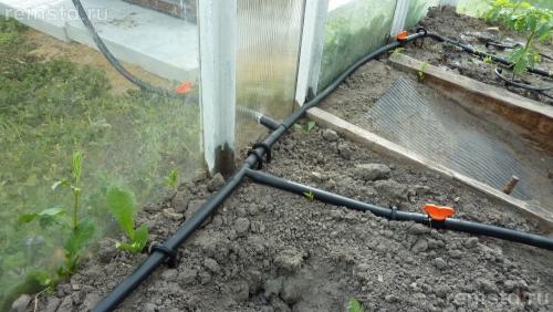 Система полива из бочки. Делаем капельный полив в теплице из бочки