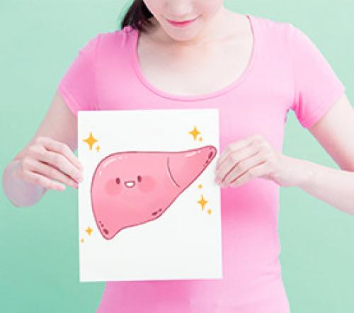 Что любит печень. Здоровье и защита печени