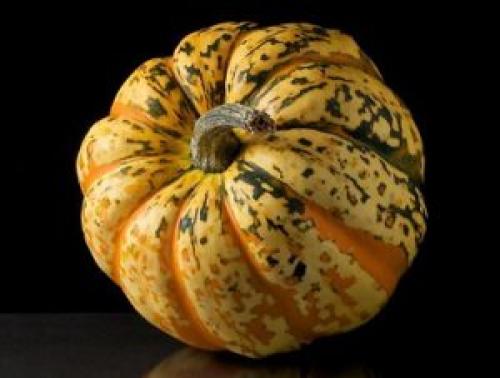 Можно ли хранить тыкву в морозилке. Замораживают ли тыкву на зиму, и как это сказывается на ее пользе