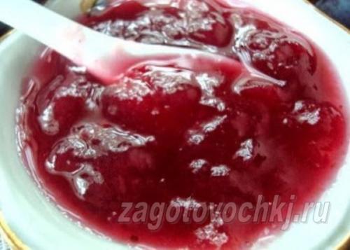 Как может дозреть виноград в домашних условиях. Способы ускорить созревание винограда 08