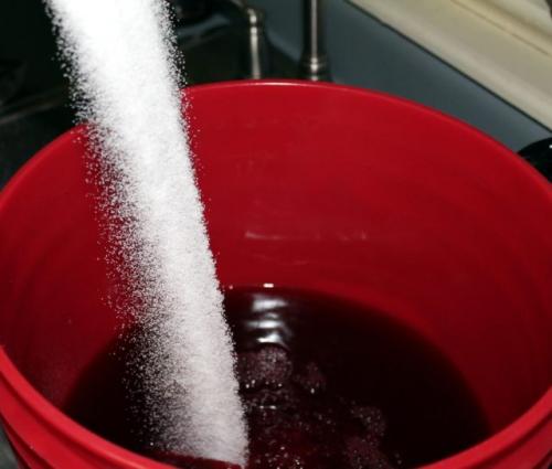 Кислый виноград, что делать. Вино из кислого винограда в домашних условиях