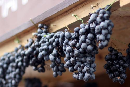 Как сохранить виноград для дозревания. Хранение в комнатных условиях