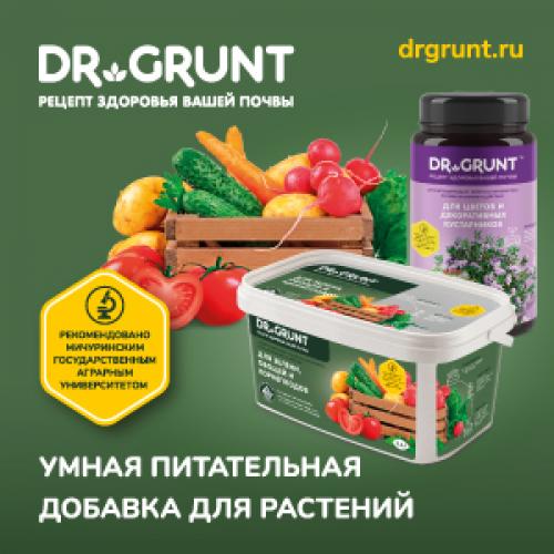 Самоопыляемые сорта груш для Подмосковья. ТОП-10 самых популярных сортов груш для Подмосковья