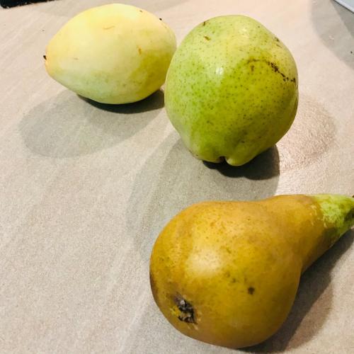 Сорта груш в магазинах. 3 сорта груш из Магнита. Обзор и наш выбор
