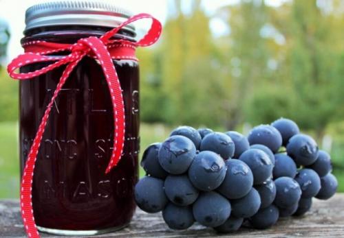 Что сделать из винограда на зиму. Что можно сделать из винограда на зиму – лучшие пошаговые рецепты с фото