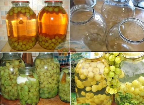Что сделать с зеленым виноградом. Вкусный виноград на зиму: 18 удачных рецептов 08