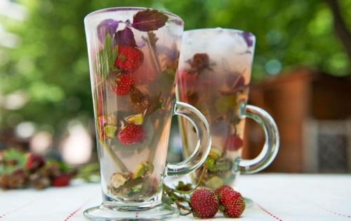 Куда добавляют базилик сушеный. В какие блюда кладут свежий и сушёный базилик