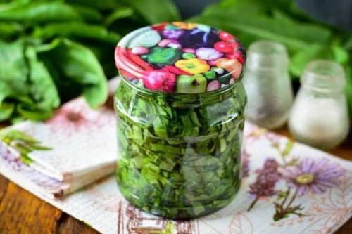 Что можно приготовить из базилика фиолетового. Базилик на зиму: 20 рецептов, которые понравятся всей семье