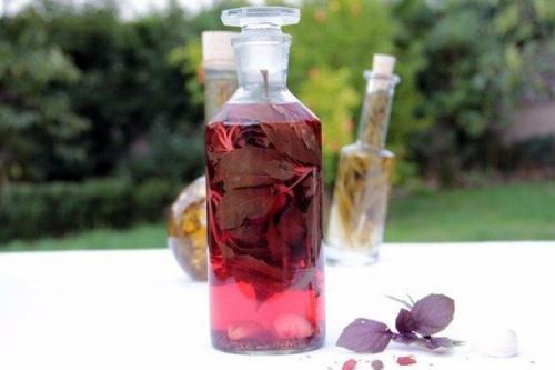 Что можно приготовить из базилика фиолетового. Базилик на зиму: 20 рецептов, которые понравятся всей семье