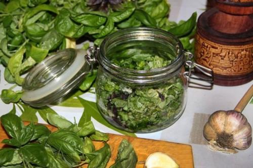 Что можно приготовить из базилика фиолетового. Базилик на зиму: 20 рецептов, которые понравятся всей семье