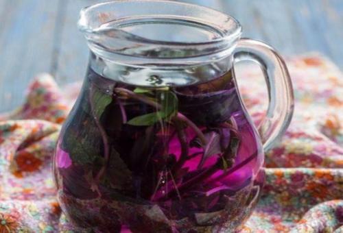 Компот из базилика на зиму. ТОП 8 рецептов приготовления компота из базилика на зиму