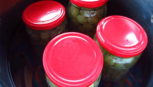 Как закатывать виноград. Консервированный виноград на зиму в домашних условиях: 6 лучших рецептов приготовления