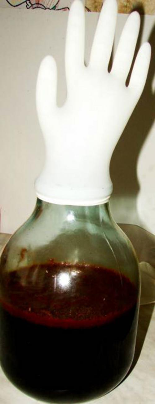 Что можно сделать из домашнего синего винограда. Изготовление вина из синих сортов