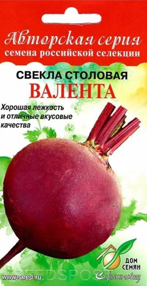 Сорта свёклы подходят для средней полосы. Лучшие сорта свеклы для открытого грунта