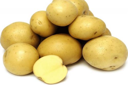 Картофель Гала википедия. Описание сорта картофеля Гала