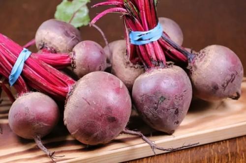 Как определить, какой сорт свеклы будет наиболее продуктивным в условиях Урала. Лучшие сорта свеклы для открытого грунта