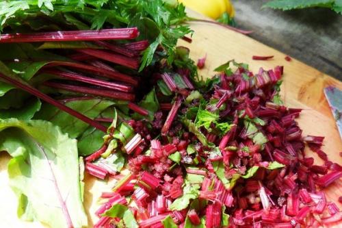 Как определить, какой сорт свеклы будет наиболее продуктивным в условиях Урала. Лучшие сорта свеклы для открытого грунта