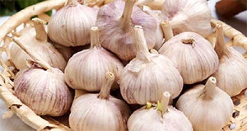 Состав чеснока. Чеснок