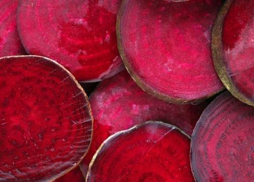 Какова урожайность различных сортов свеклы, предназначенных для хранения. Выращивание столовой свёклы