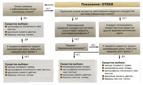 Лучшие мочегонные препараты для похудения и улучшения веса. Вред и противопоказания препаратов для похудения 02 Лучшие мочегонные препараты для похудения и улучшения веса. Вред и противопоказания препаратов для похудения 02
