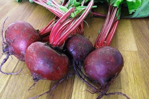 Какие из 25 лучших сортов свеклы самые сладкие. ТОП-12 самых сладких сортов свёклы