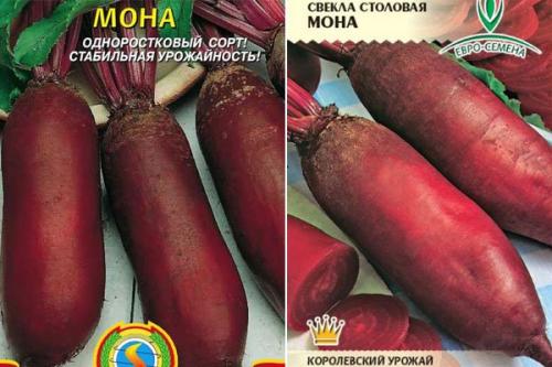 Какие из 25 лучших сортов свеклы самые сладкие. ТОП-12 самых сладких сортов свёклы