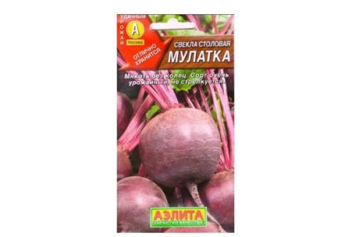Какие сорта свеклы самые сладкие и подходят для детского питания. Сладкие сорта свёклы