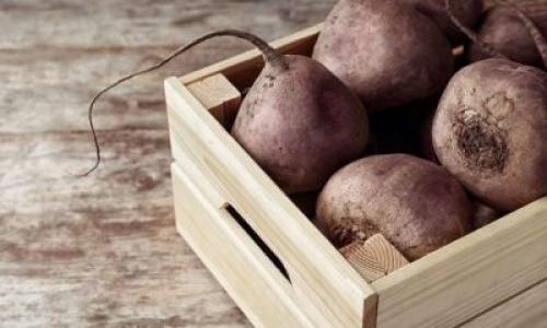 Как сохранить свеклу на зиму без погреба. Особенности и правила