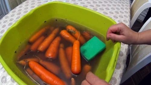 Как хранить свеклу в домашних условиях зимой. Можно ли замораживать? 11 Как хранить свеклу в домашних условиях зимой. Можно ли замораживать? 11