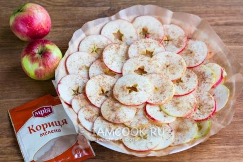 Вкусные и здоровые: рецепт чипсов из яблок в сушилке 03