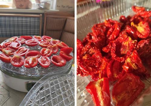 Какие преимущества сушки яблок в электросушилке для фруктов перед другими методами сушки. Вяленые помидоры с травами