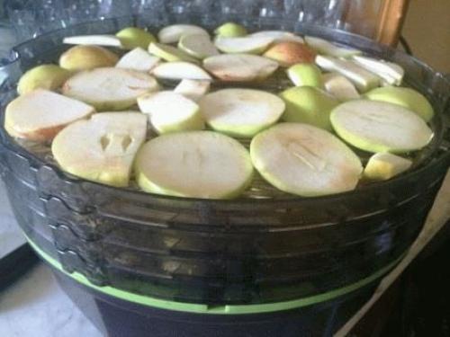 Как правильно готовить яблоки перед сушкой на электрической сушилке. Как правильно сушить яблоки в электросушилке, практические рекомендации