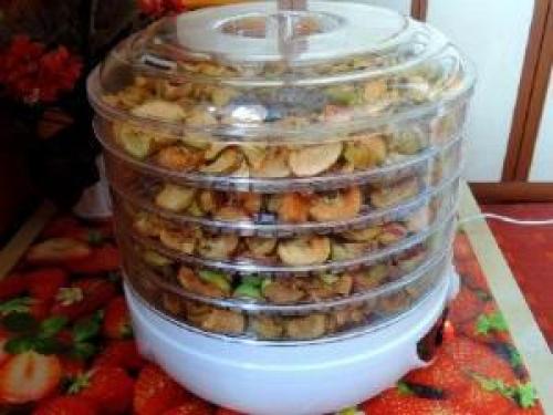 Какие преимущества сушки яблок в сушилке для овощей и фруктов. Инструкция по сушению