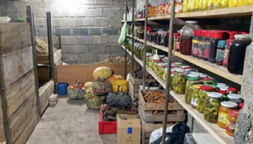 Правильное хранение свеклы зимой. Общая информация 05