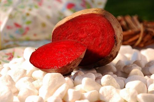 Как хранить свеклу в песке. Способы хранения свеклы всю зиму в условиях квартиры