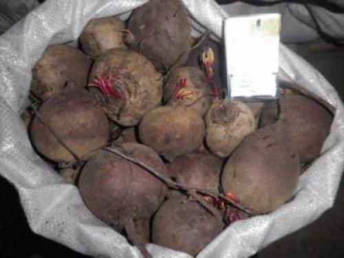 Как правильно хранить свеклу в холодильнике. Способы хранения