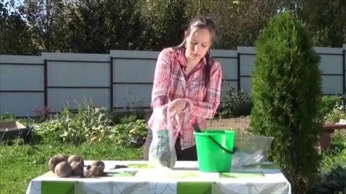 Как правильно хранить свеклу зимой. Особенности хранения свеклы в квартире 09