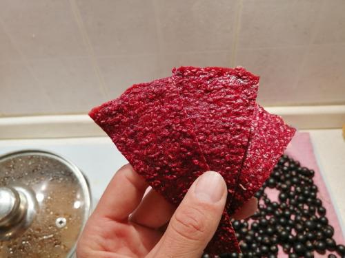 Какие недостатки сушки фруктов в электросушилке. Опыт использования сушилки овощей и фруктов