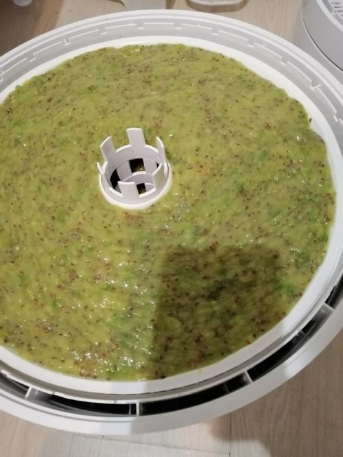 Какие недостатки сушки фруктов в электросушилке. Опыт использования сушилки овощей и фруктов