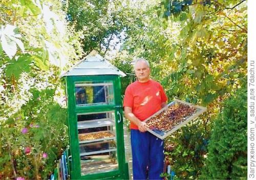 Сушеные фрукты в электросушилке своими руками. Универсальная сушилка для фруктов и овощей своими руками