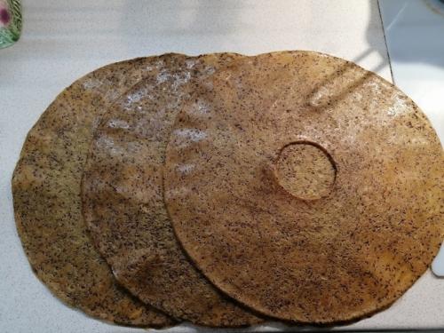 Какие недостатки сушки фруктов в электросушилке. Опыт использования сушилки овощей и фруктов