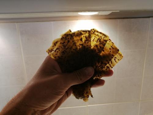 Какие недостатки сушки фруктов в электросушилке. Опыт использования сушилки овощей и фруктов