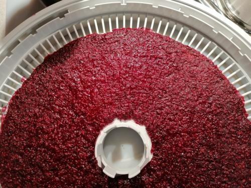 Какие недостатки сушки фруктов в электросушилке. Опыт использования сушилки овощей и фруктов